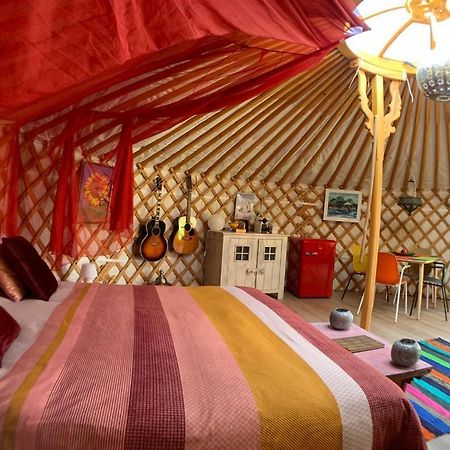 Overnachten In Een Luxe Yurt! Zonnemaire Eksteriør billede